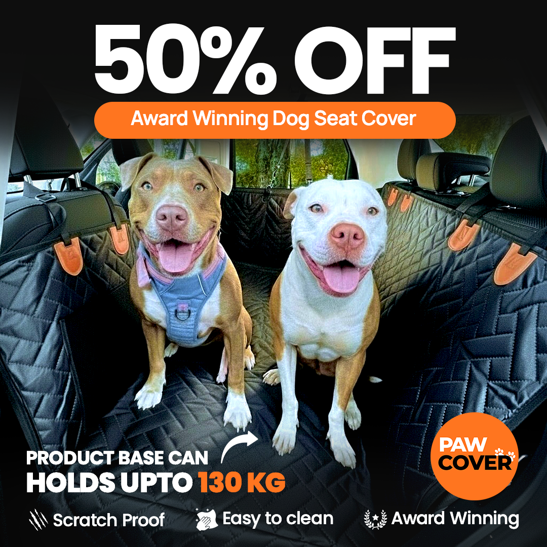Paw Cover- Hard Bottom Dog Car Seat Protector